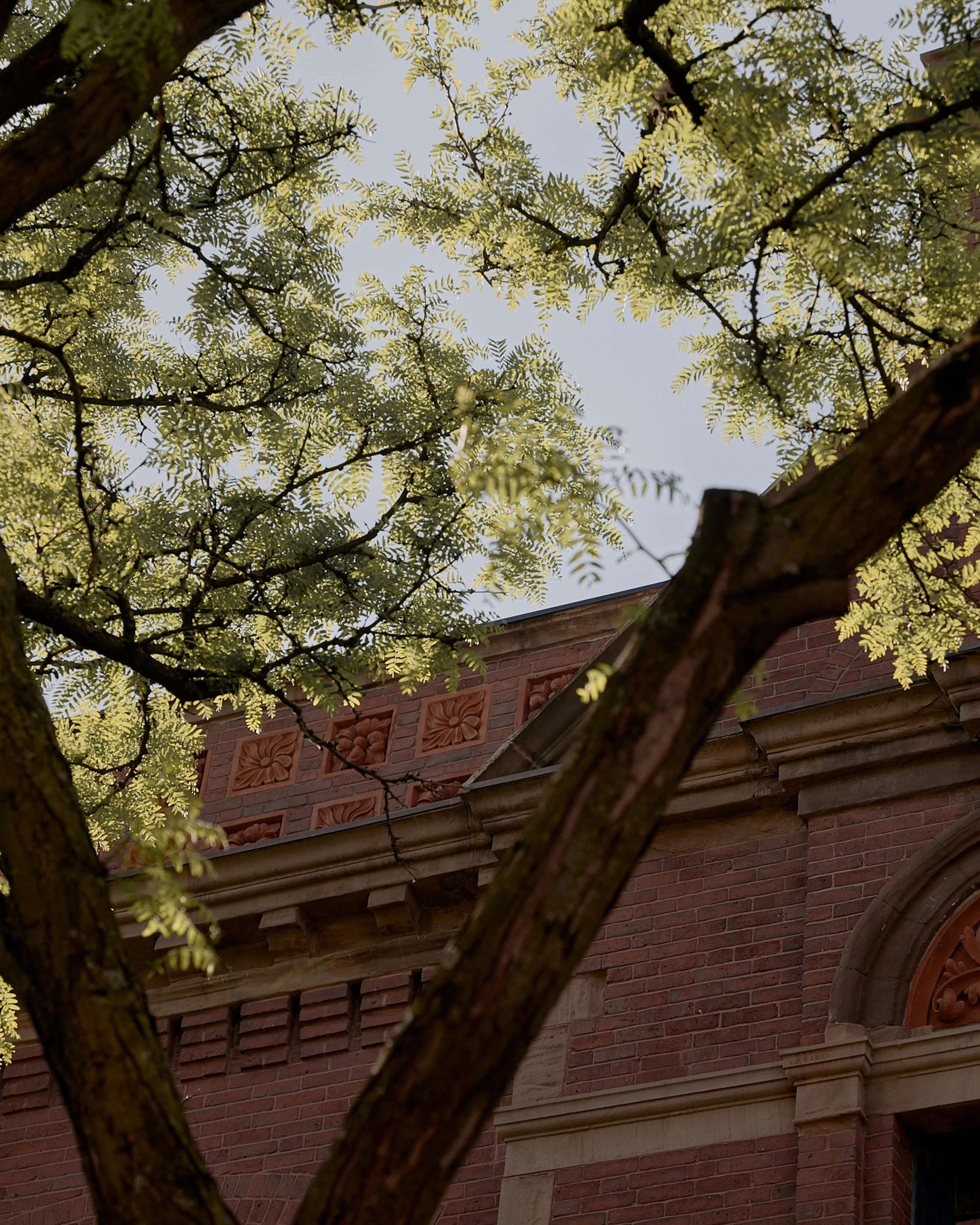 A mature tree with delicate, fern-like yellow-green foliage frames a view of a historic red brick building with ornamental terracotta tile details and arched architectural elements. The natural canopy creates dappled light and a serene, contemplative mood.