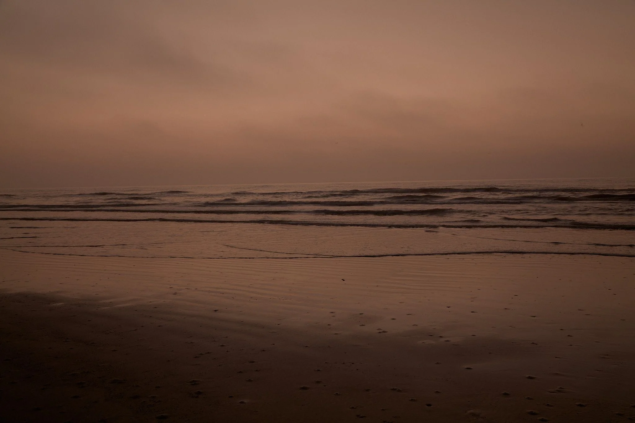 A minimalist seascape at dusk with a muted, dusty rose-toned sky meeting a calm ocean horizon lined with driftwood, while the wet sand beach in the foreground is scattered with small dark pebbles, creating a serene and contemplative coastal atmosphere.